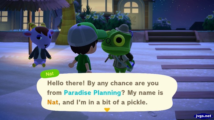 Nat: Hello there! By any chance are you from Paradise Planning? My name is Nat, and I'm in a bit of a pickle.