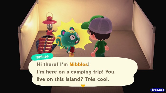 Nibbles: Hi there! I'm Nibbles! I'm here on a camping trip! You live on this island? Tres cool.