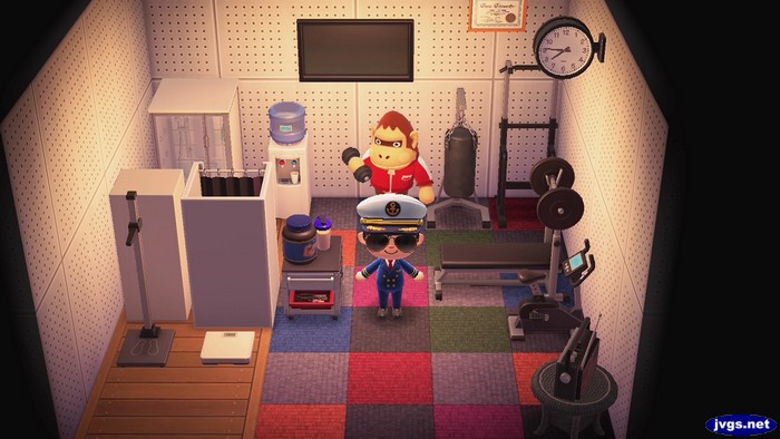 Louie's redecorated house gym.