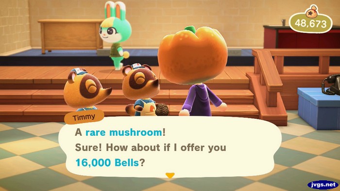 Timmy: A rare mushroom! Sure! How about if I offer you 16,000 bells?