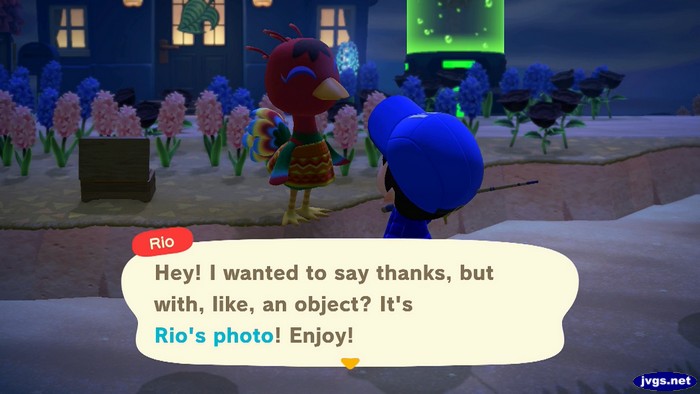 Rio: Hey! I wanted to say thanks, but with, like, an object? It's Rio's photo! Enjoy!