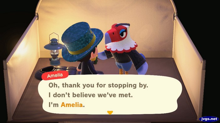 Amelia: Oh, thank you for stopping by. I don't believe we've met. I'm Amelia.