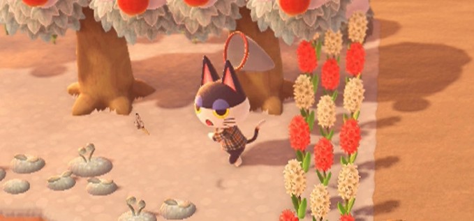 Punchy chases a butterfly in Animal Crossing: New Horizons.