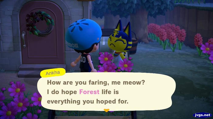 Ankha: How are you faring, me meow? I do hope Forest life is everything you hoped for.