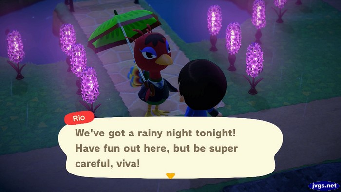 Rio: We've got a rainy night tonight! Have fun out here, but be super careful, viva!