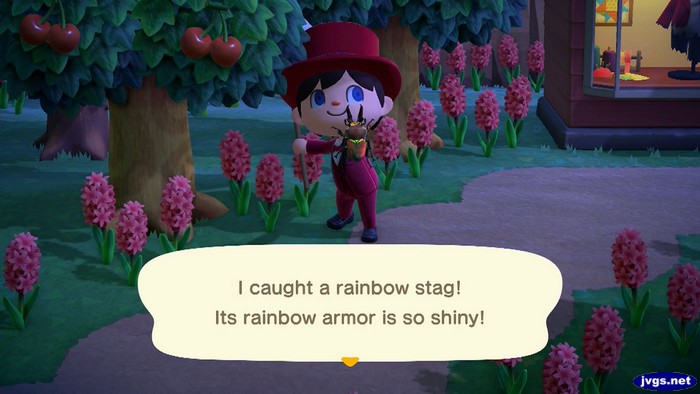 I caught a rainbow stag! Its rainbow armor is so shiny!