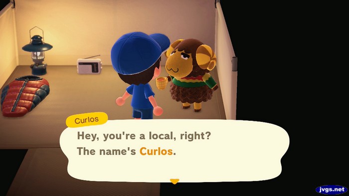 Curlos, at the campsite: Hey, you're a local, right? The name's Curlos.