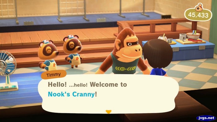 Timmy: Hello! ...hello! Welcome to Nook's Cranny!