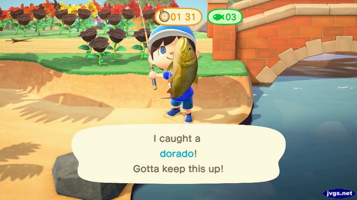 I caught a dorado! Gotta keep this up!