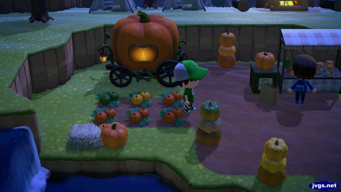 Jesse's pumpkin patch.