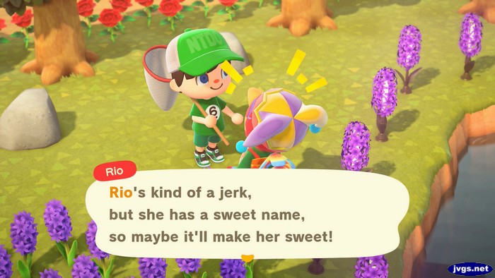 Rio: Rio's kind of a jerk, but she has a sweet name, so maybe it'll make her sweet!