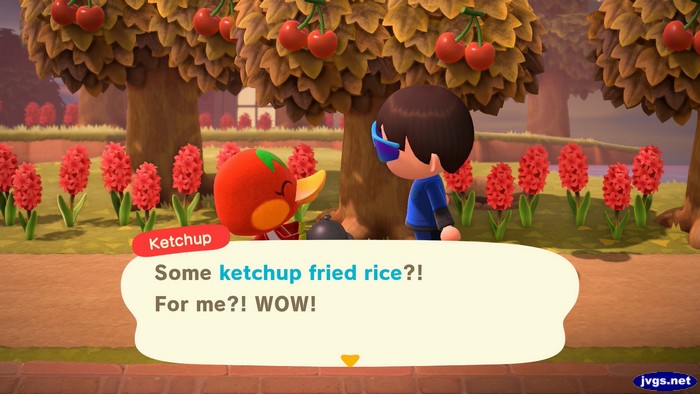 Ketchup: Some ketchup fried rice?! For me?! WOW!