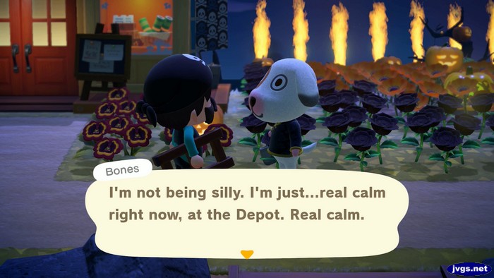 Bones: I'm not being silly. I'm just...real calm right now, at the Depot. Real calm.