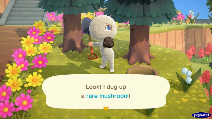 Look: I dug up a rare mushroom!