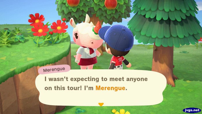 Merengue, on a mystery island: I wasn't expecting to meet anyone on this tour! I'm Merengue.