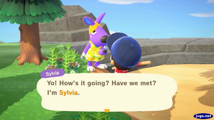 Sylvia, on a mystery island: Yo! How's it going? Have we met? I'm Sylvia.