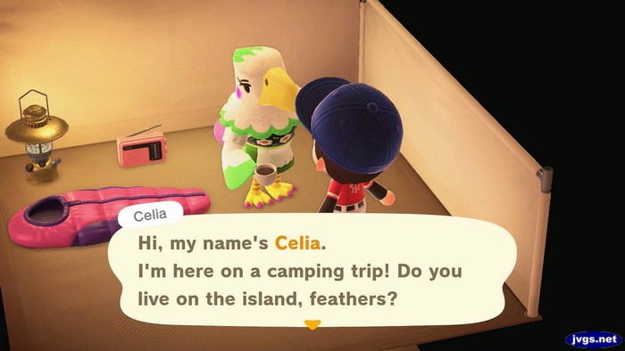 Celia, at the campsite: Hi, my name's Celia. I'm here on a camping trip! Do you live on the island, feathers?