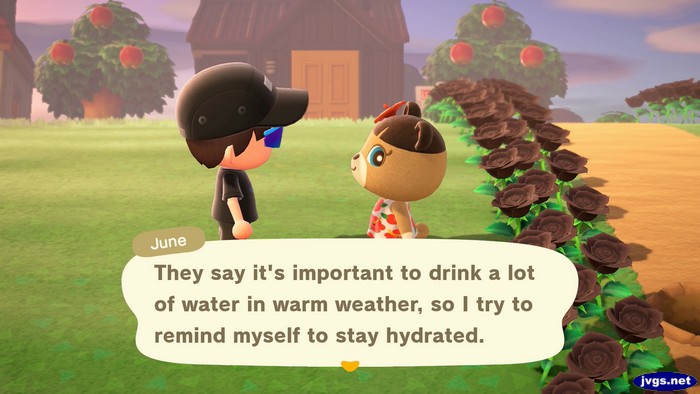 June: They say it's important to drink a lot of water in warm weather, so I try to remind myself to stay hydrated.