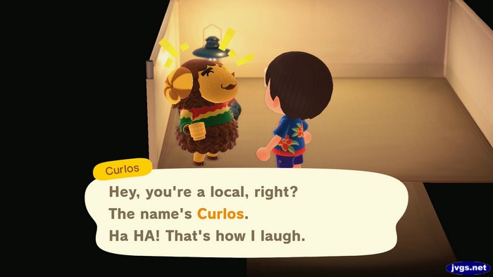 Curlos: Hey, you're a local, right? The name's Curlos. Ha HA! That's how I laugh.