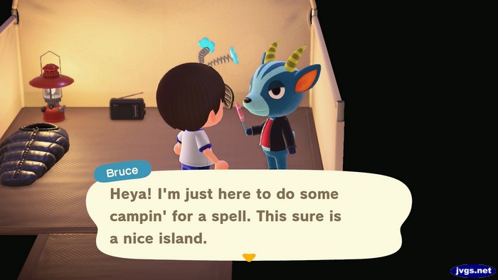 Bruce: Heya! I'm just here to do some campin' for a spell. This sure is a nice island.