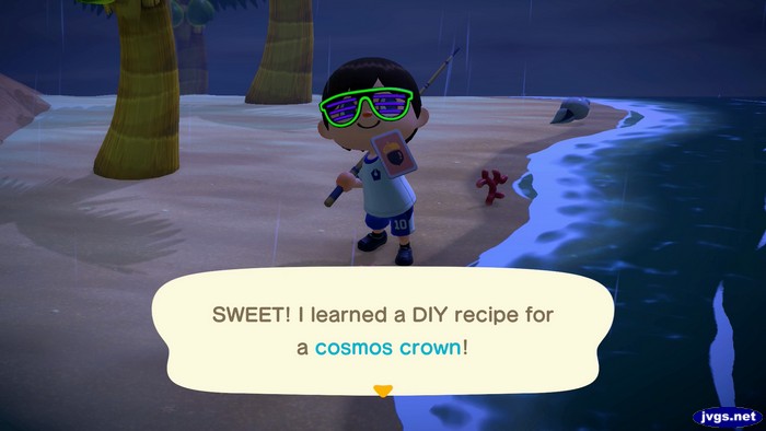 SWEET! I learned a DIY recipe for a cosmos crown!