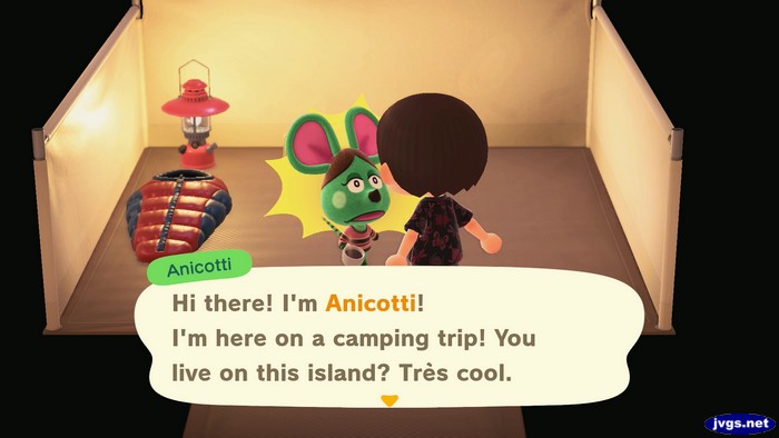 Anicotti, at the campsite: Hi there! I'm Anicotti! I'm here on a camping trip! You live on this island? Tres cool.