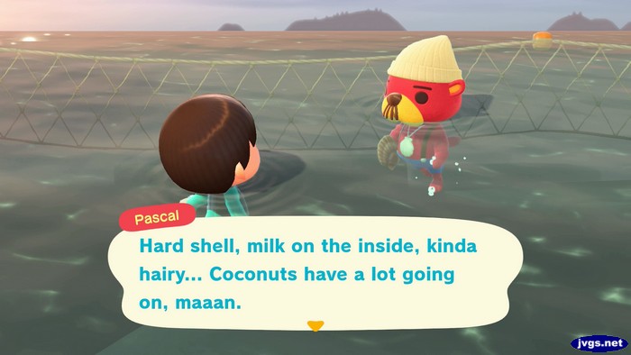 Pascal: Hard shell, milk on the inside, kinda hairy... Coconuts have a lot going on, maaan.