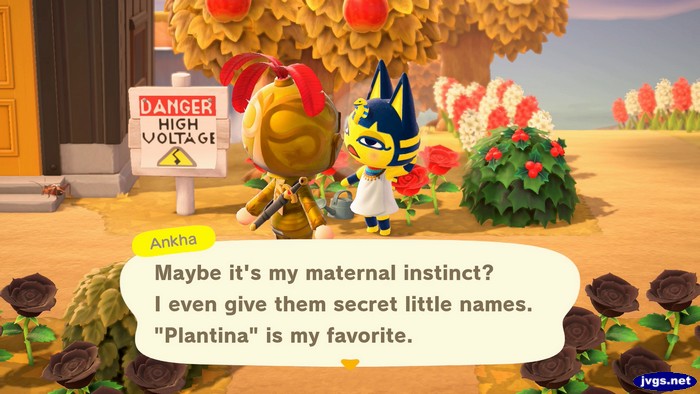 Ankha: Maybe it's my maternal instinct? I even give them secret little names. Plantina is my favorite.