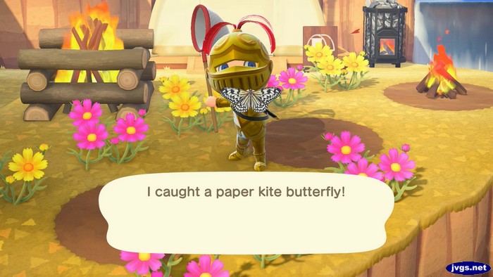 I caught a paper kite butterfly!