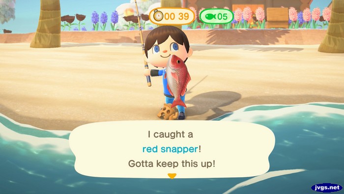 I caught a red snapper! Gotta keep this up!