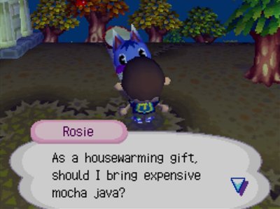 Rosie: As a housewarming gift, should I bring expensive mocha java?