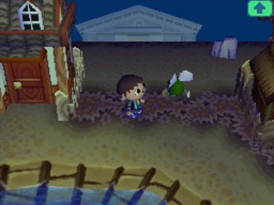 Bree struggles to get out of a pitfall in Animal Crossing: Wild World (ACWW).