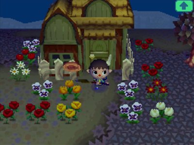 Flowers around Jeremiah's house in Animal Crossing: Wild World.