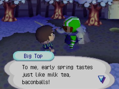 Big Top: To me, early spring tastes just like milk tea, baconballs!