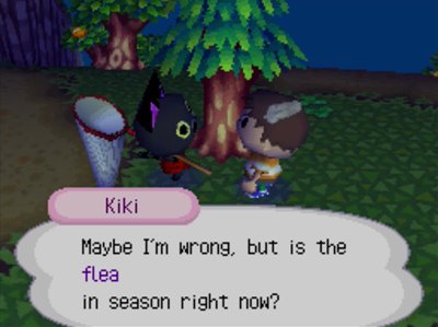 Kiki: Maybe I'm wrong, but is the flea in season right now?