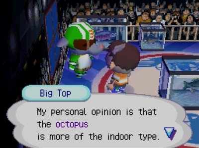 Big Top: My personal opinion is that the octopus is more of the indoor type.