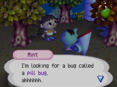 Mint: I'm looking for a bug called a pill bug, ahhhhhh.