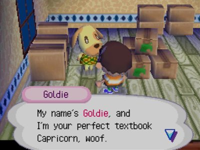 Goldie: My name's Goldie, and I'm your perfect textbook Capricorn, woof.