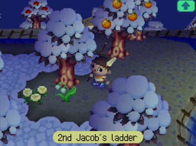 Jeff's 2nd Jacob's ladder in the ACWW town of Forest.