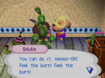 Goldie: You can do it, meooo-OH! Feel the burn! Feel the burn!