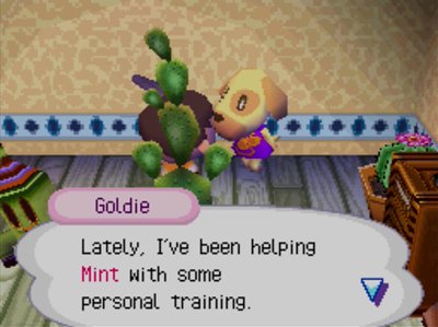 Goldie: Lately, I've been helping Mint with some personal training.