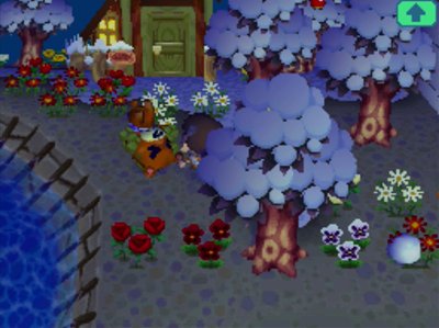 Teddy flips out of a pitfall in Animal Crossing: Wild World (ACWW).