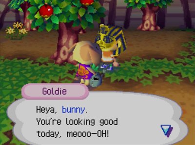 Goldie: Heya, bunny. You're looking good today, meooo-OH!