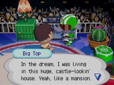 Big Top: In the dream, I was living in this huge, castle-lookin' house. Yeah, like a mansion.