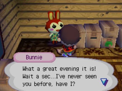 Bunnie: What a great evening it is! Wait a sec...I've never seen you before, have I?