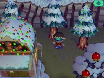 Bunnie's house decorated for the Bright Nights festival in Animal Crossing: Wild World (ACWW).