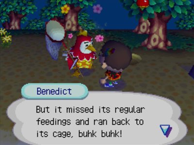 Benedict: But it missed its regular feedings and ran back to its cage, buhk buhk!