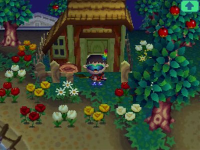 A bunch of flowers surrounding Margie's house.