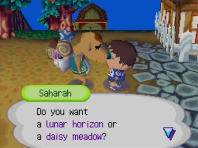 Saharah: Do you want a lunar horizon or a daisy meadow?