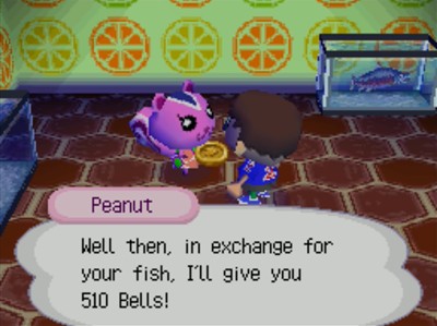 Peanut: Well then, in exchange for your fish, I'll give you 510 bells!